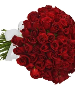 Buquê de 50 Rosas Vermelhas