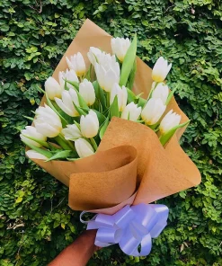 Buquê de Tulipas Naturais