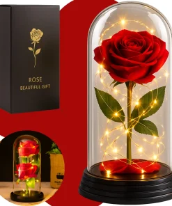 Redoma Rosa Encantada Eterna Led Iluminada Dia Dos Namorados