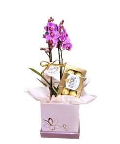 Mini Orquídea c/ Ferrero